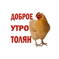 Миниатюра для версии от 13:14, 8 января 2025