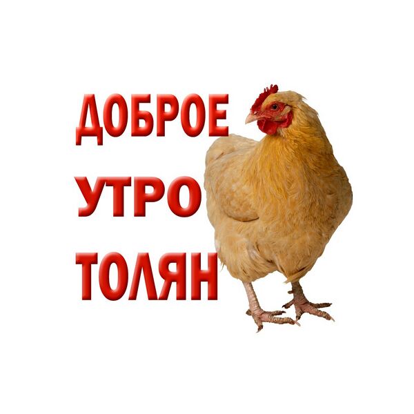 Файл:170335544b534891.jpg